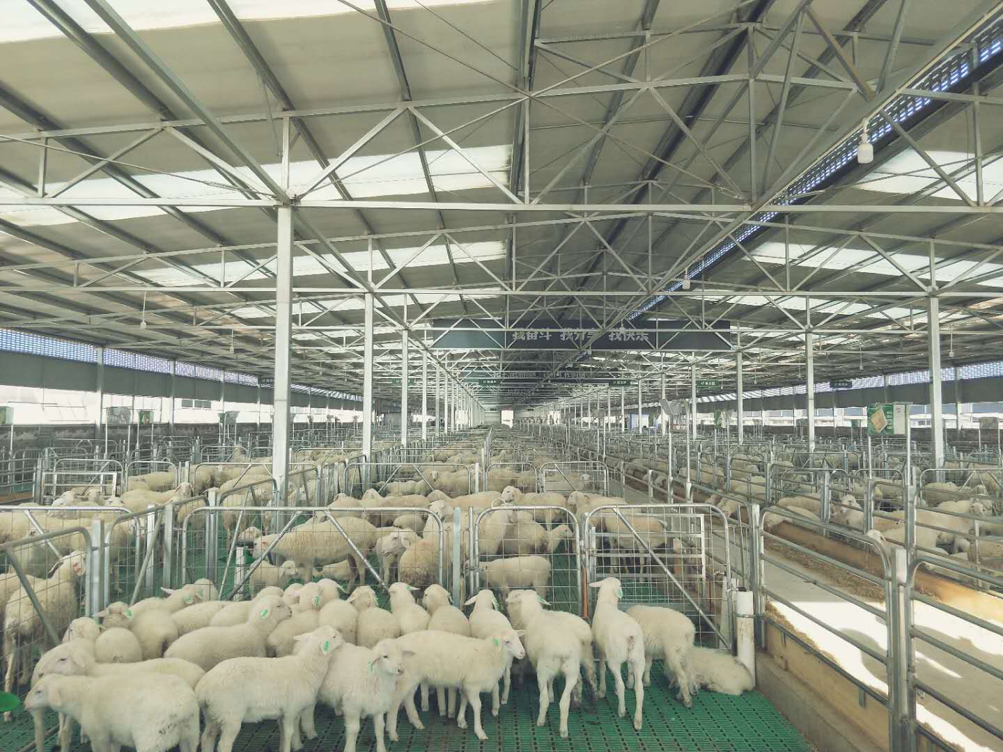 木钵镇殷家桥育肥场图片3