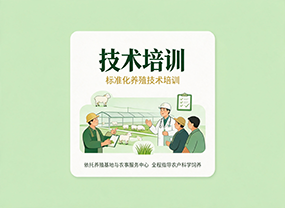 技术培训