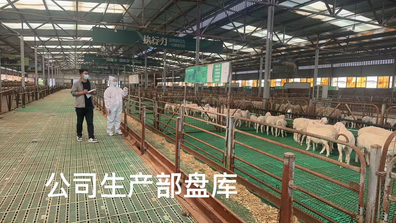 养殖现场
