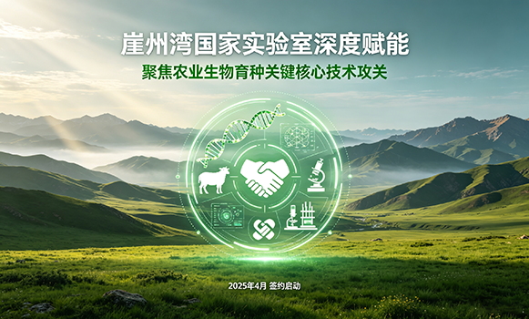崖州湾国家实验室战略合作