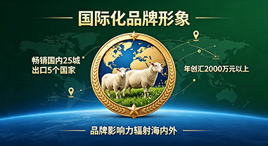 国际化品牌形象