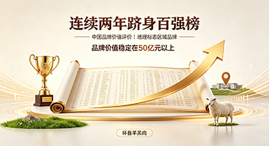 百强榜连续上榜