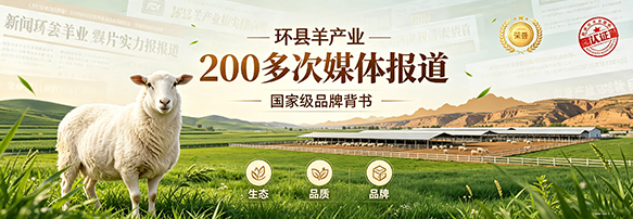 中央媒体传播
