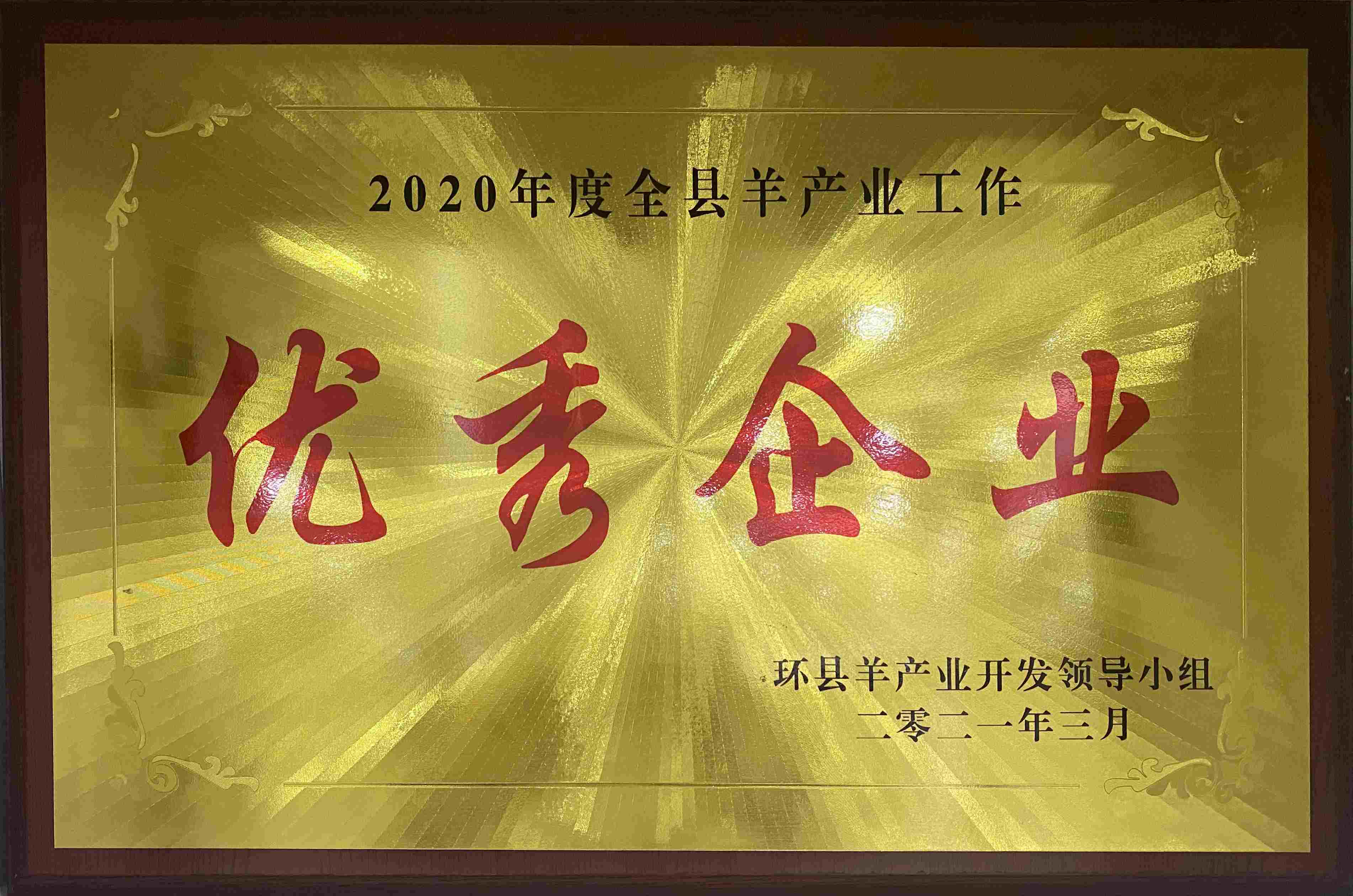 优秀企业