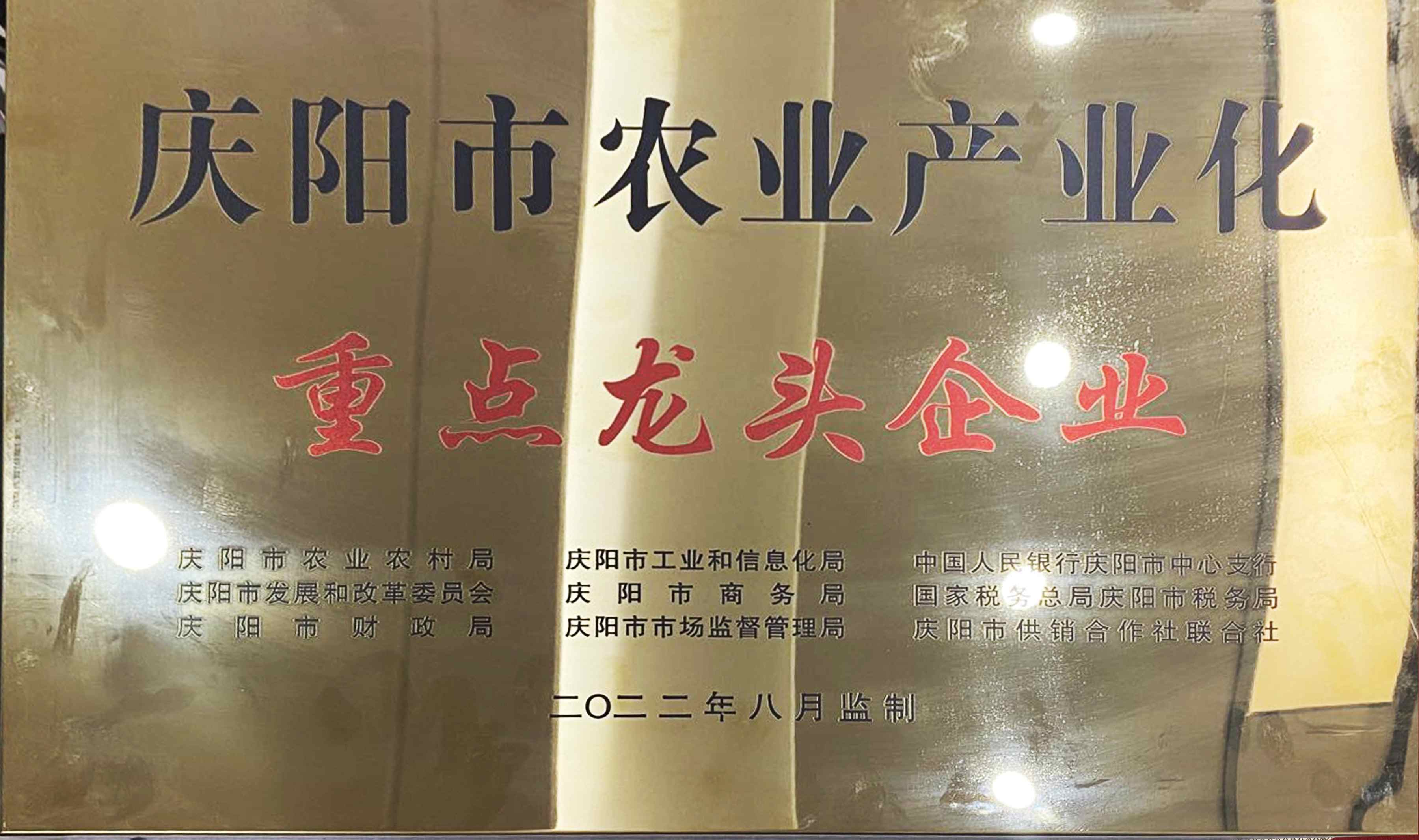 龙头企业