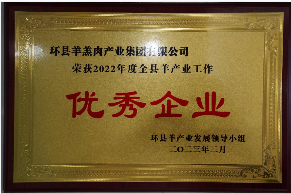 优秀企业