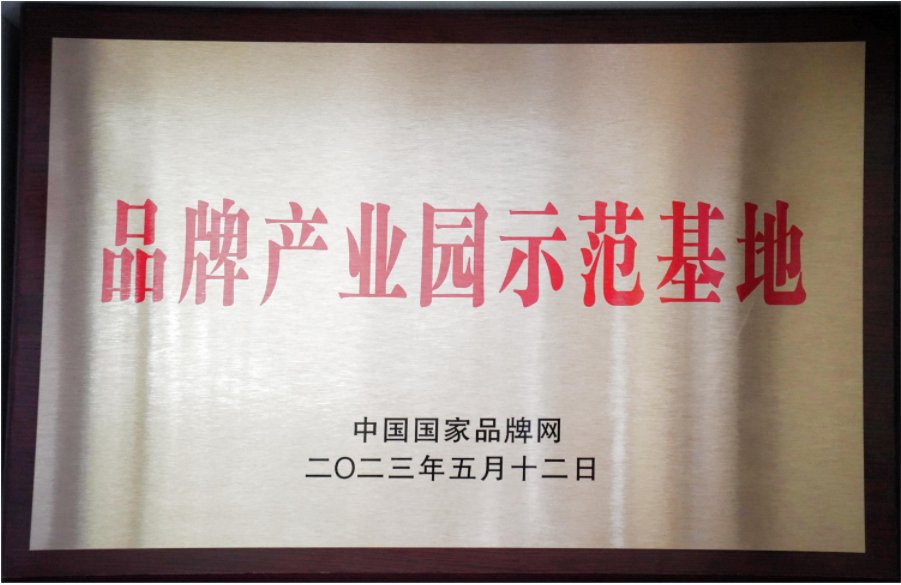 品牌创新奖