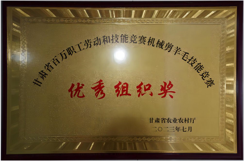 优秀组织奖