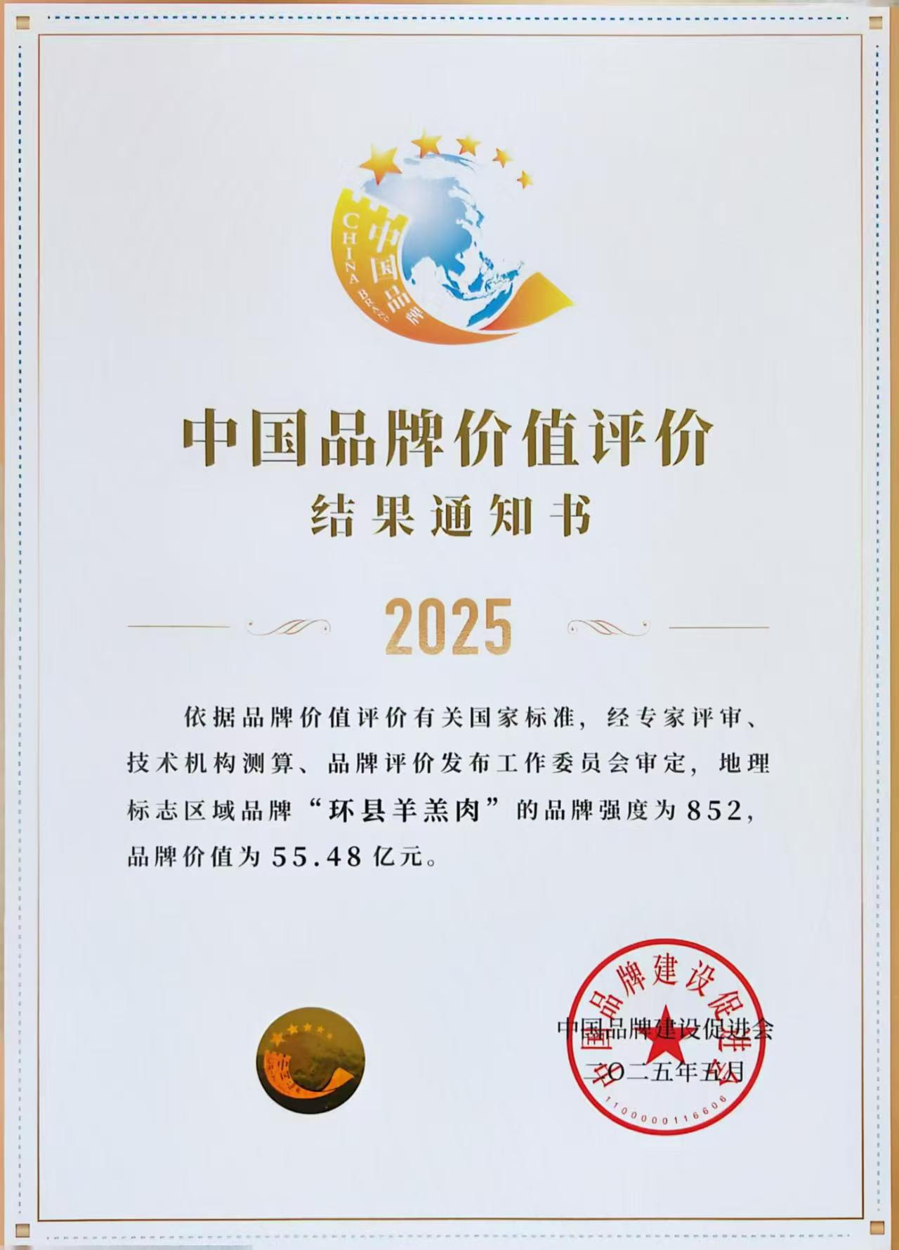 品牌价值奖